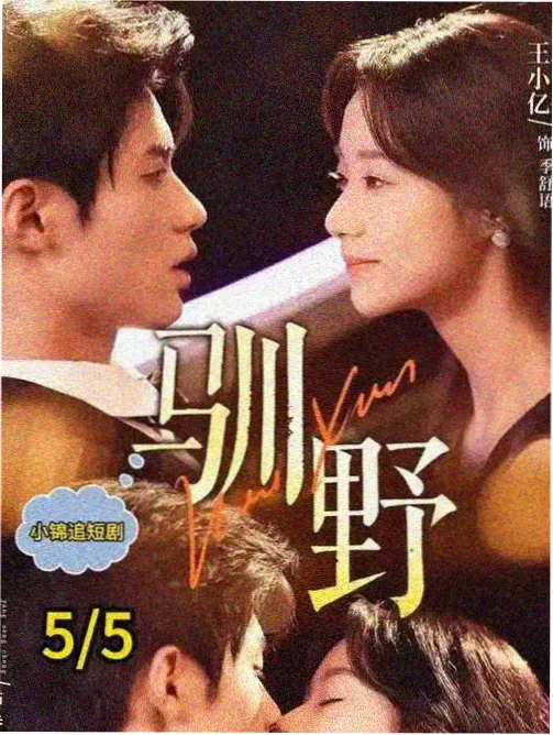楚汉传奇第6集